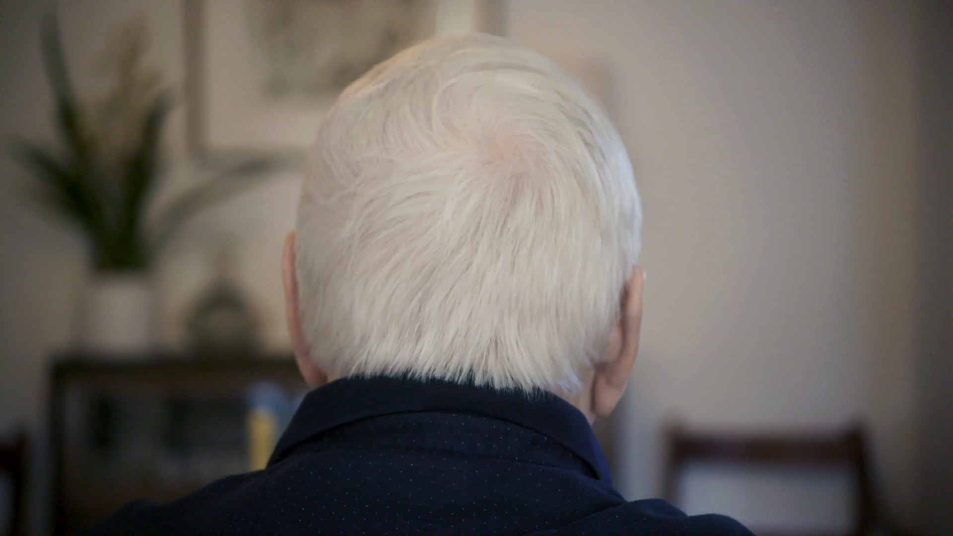 Close-up eines Hinterkopfes. Die Person hat kurze, weiße Haare und sitzt in einem Zimmer, der Hintergrund ist unscharf aber man erkennt Deko, Möbel und eine Pflanze.